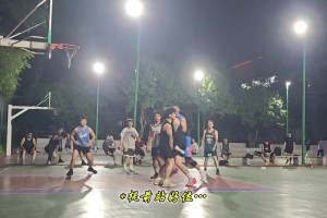 吧友们看这个球怎么吹罚？